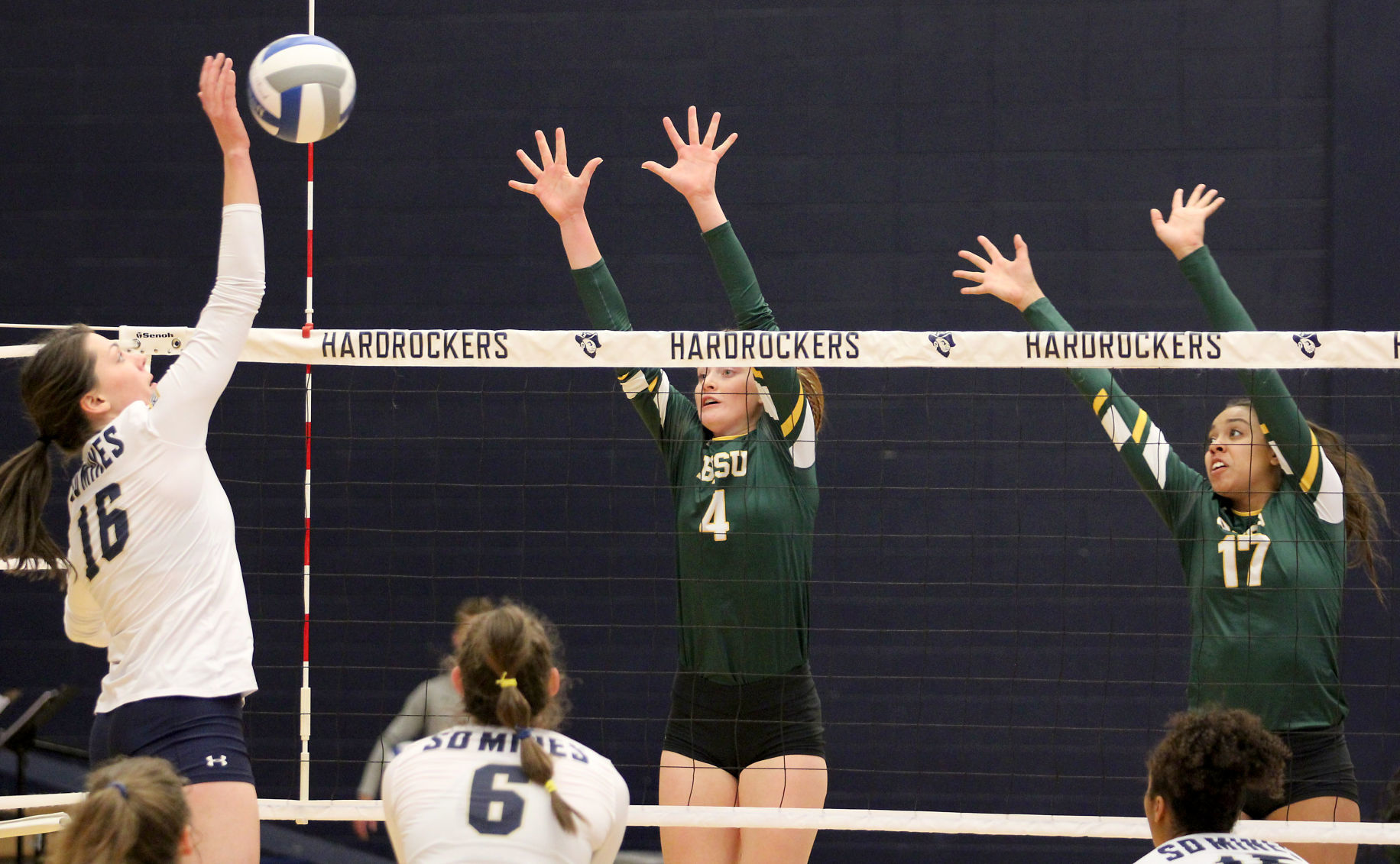 Volleyball 18.jpg